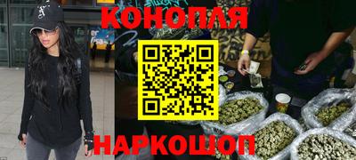 сатива Донской