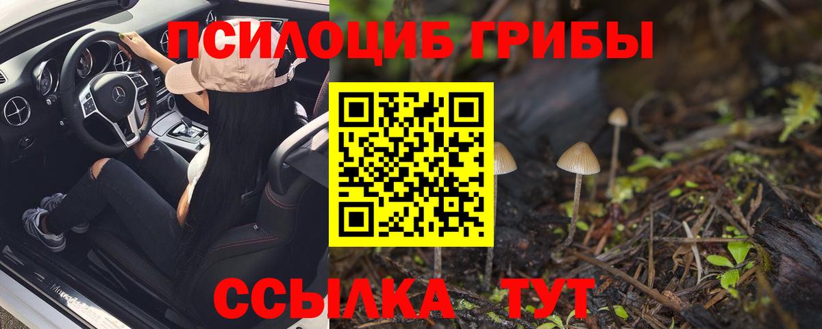 Псилоцибиновые грибы Magic Shrooms  Псилоцибиновые грибы GOLDEN TEACHER  продажа наркотиков  Кыштым  Вход с VPN 